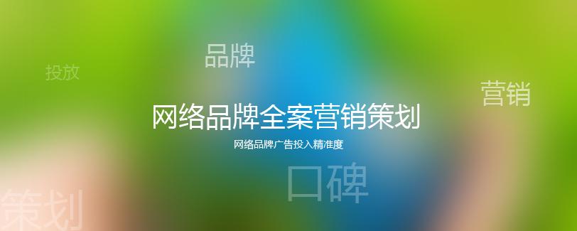 主要是从:网络广告投入精准确度上,平台宣传,营销网站推广,网络口碑